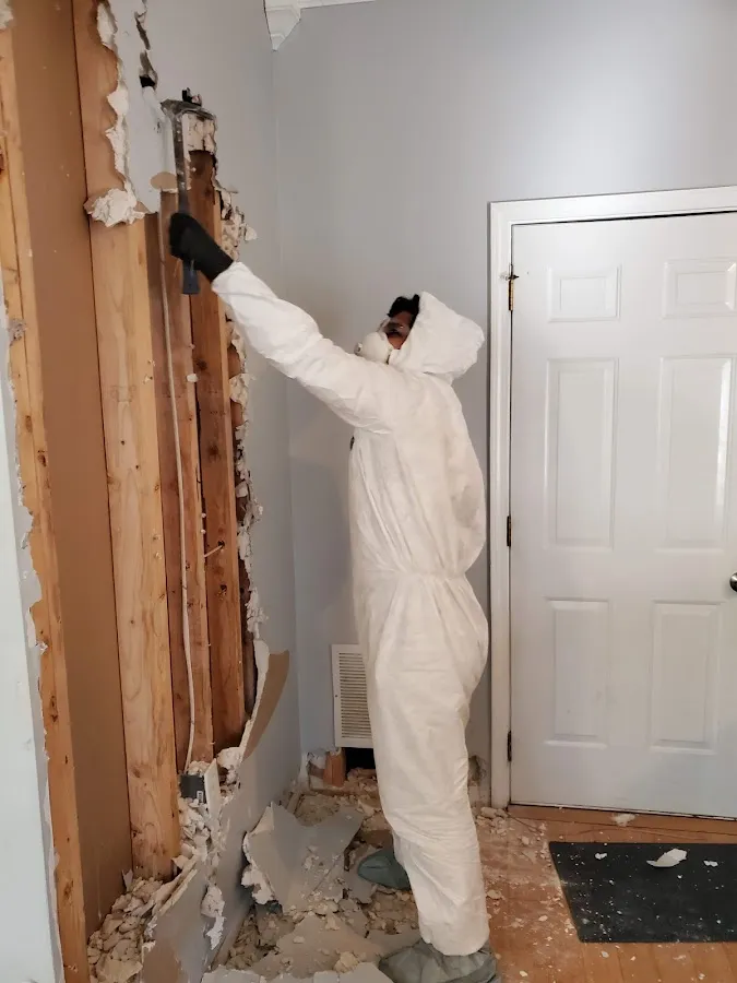 Water Damage Restoration services in Santa Cruz, CA
